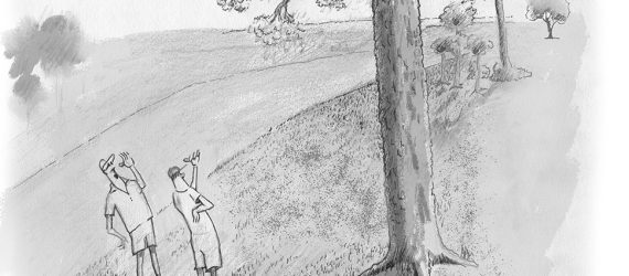 Two golfers look up into a tree to see another golfer addressing his golf ball and about to take a swing. A clever, original golf illustration by Marty Glass